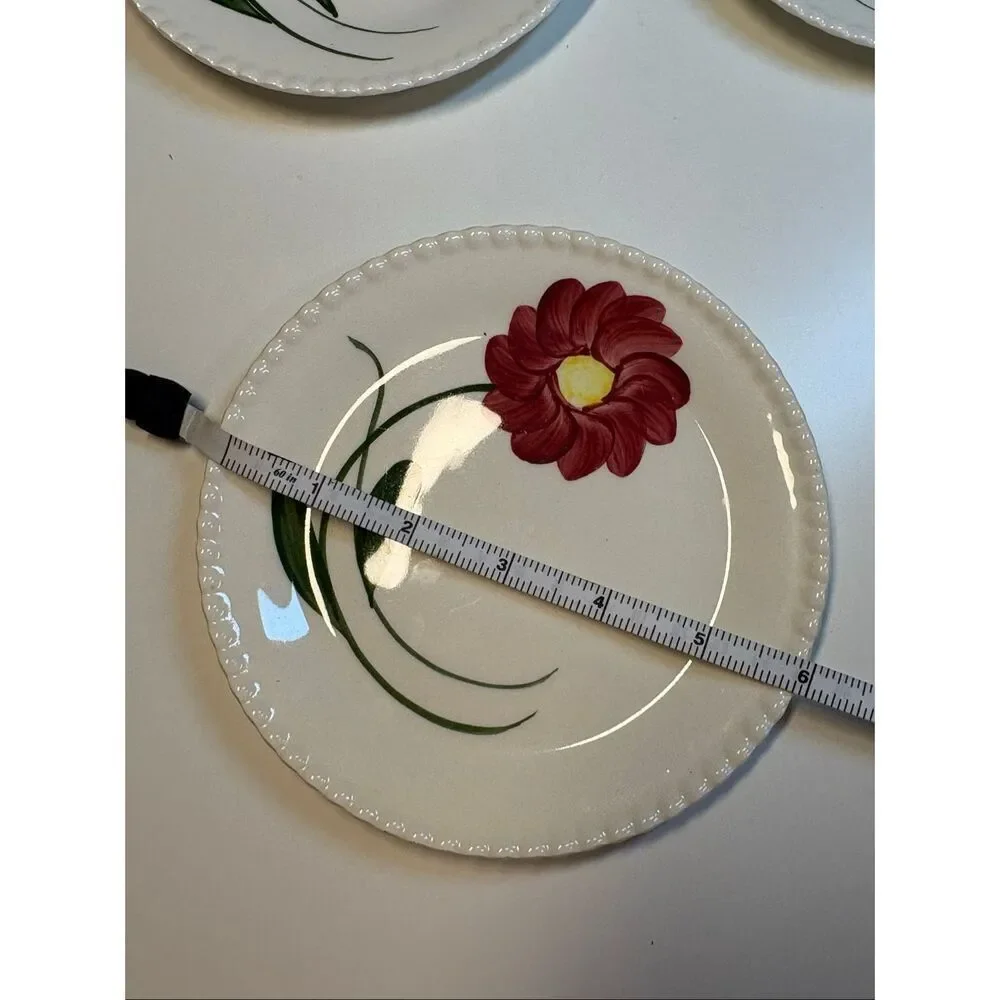 Mountain Rose Hand Painted Dinnerware Plates